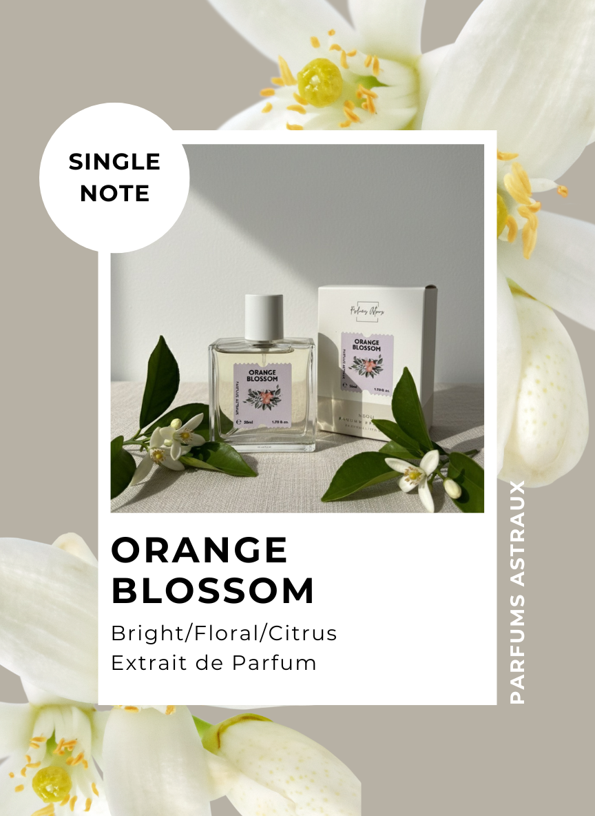 Orange Blossom