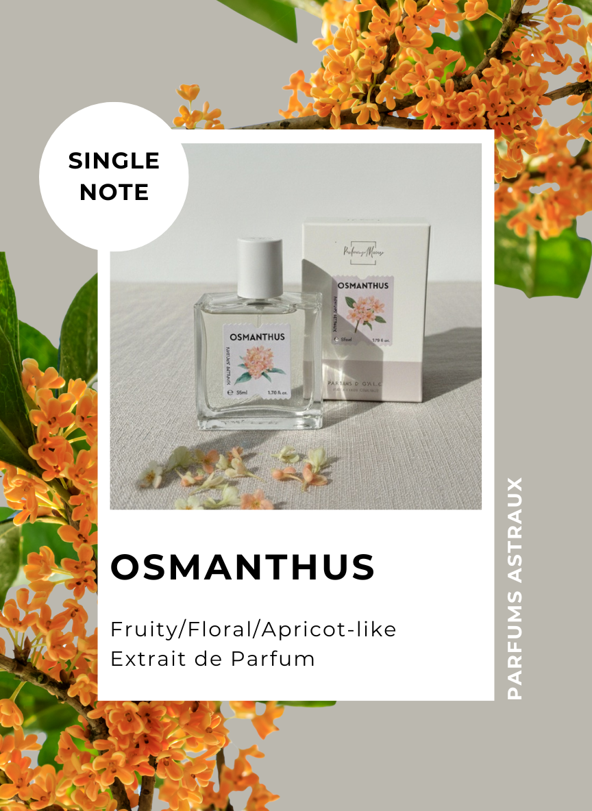 Osmanthus