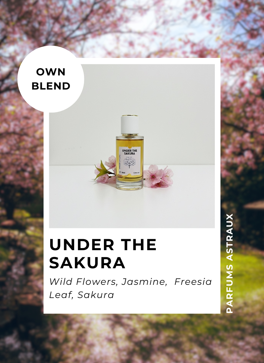 Under the Sakura