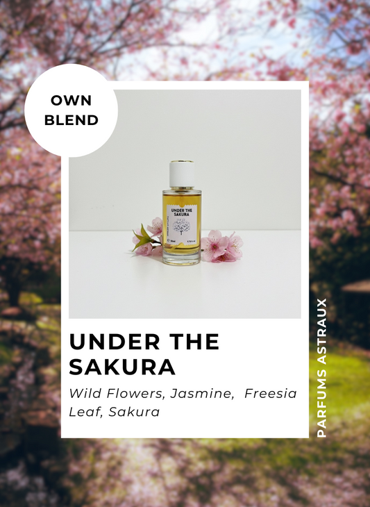Under the Sakura