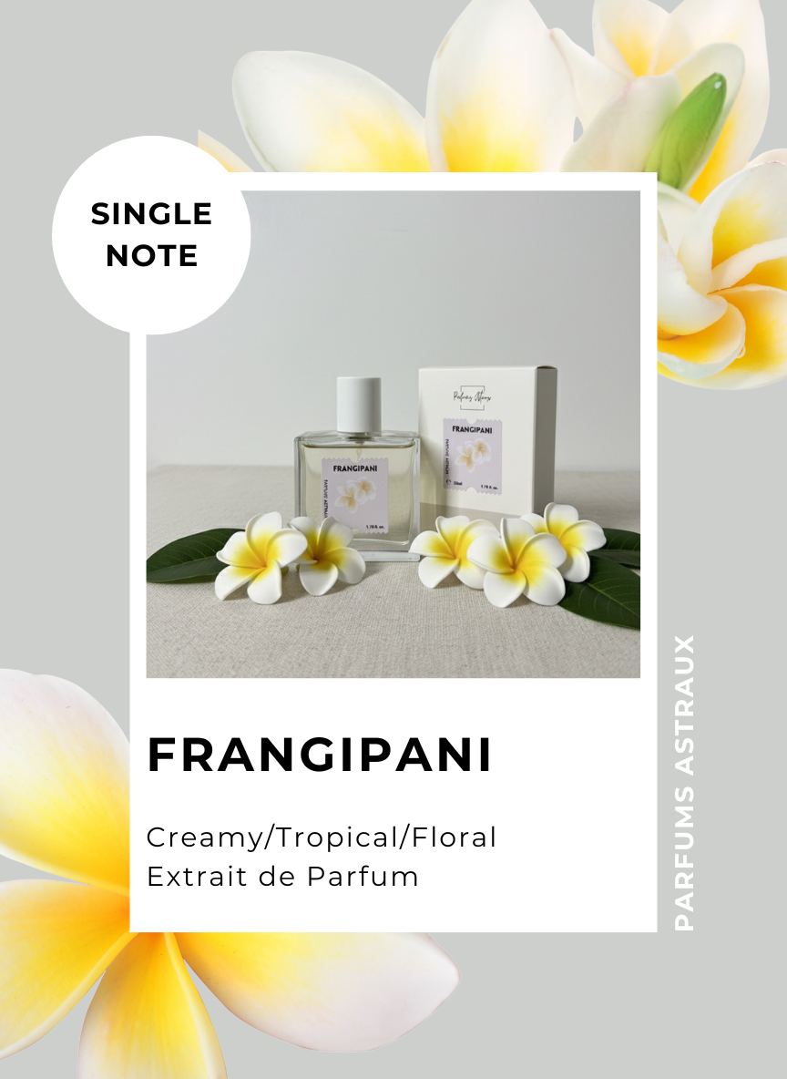 Frangipani