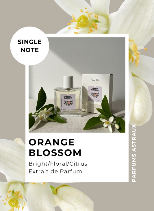 Orange Blossom