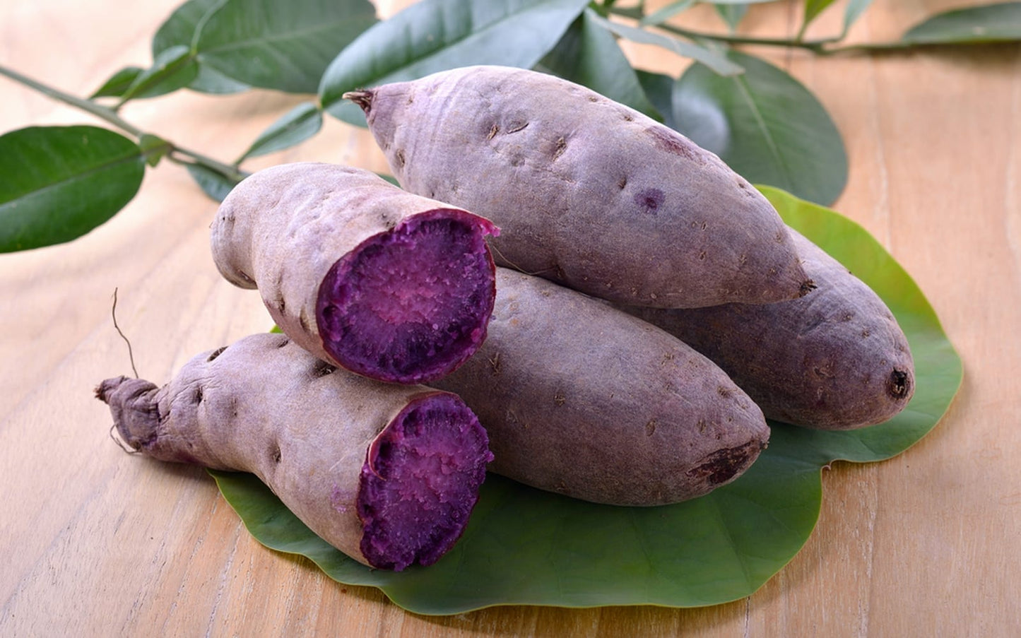 Purple madness