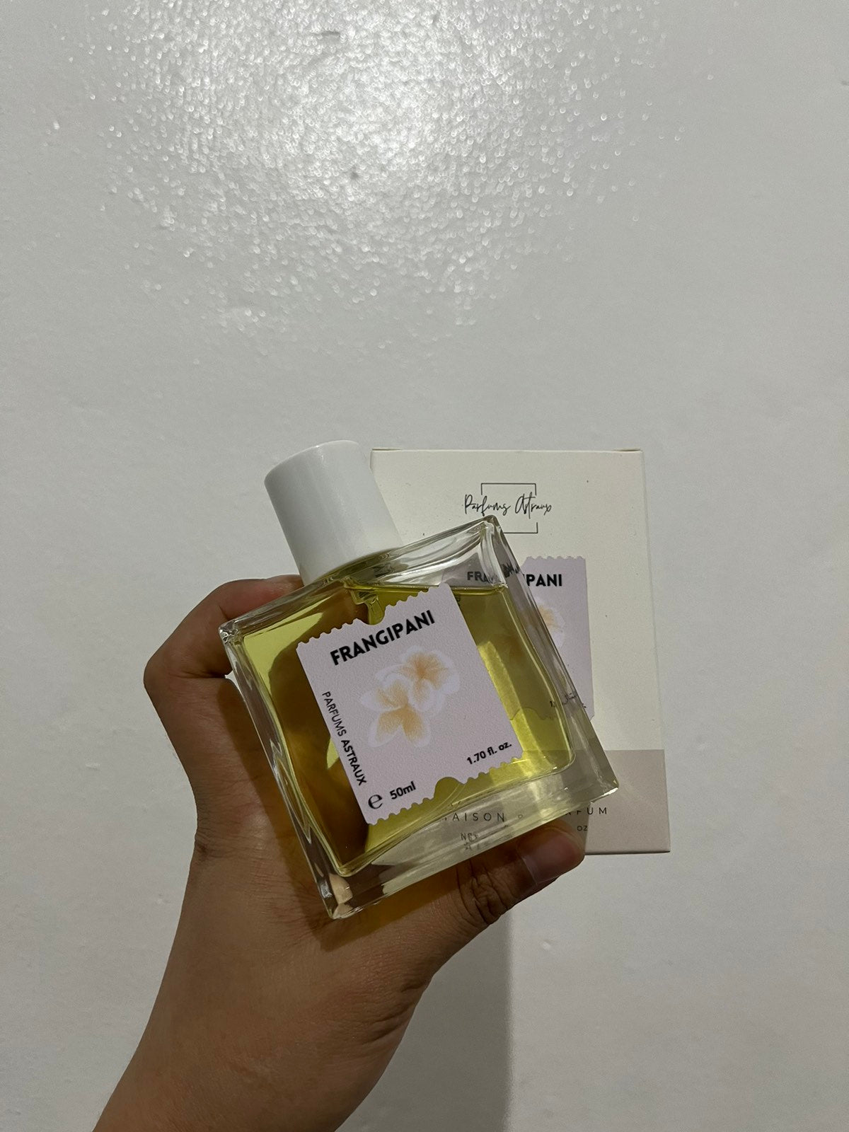 Frangipani